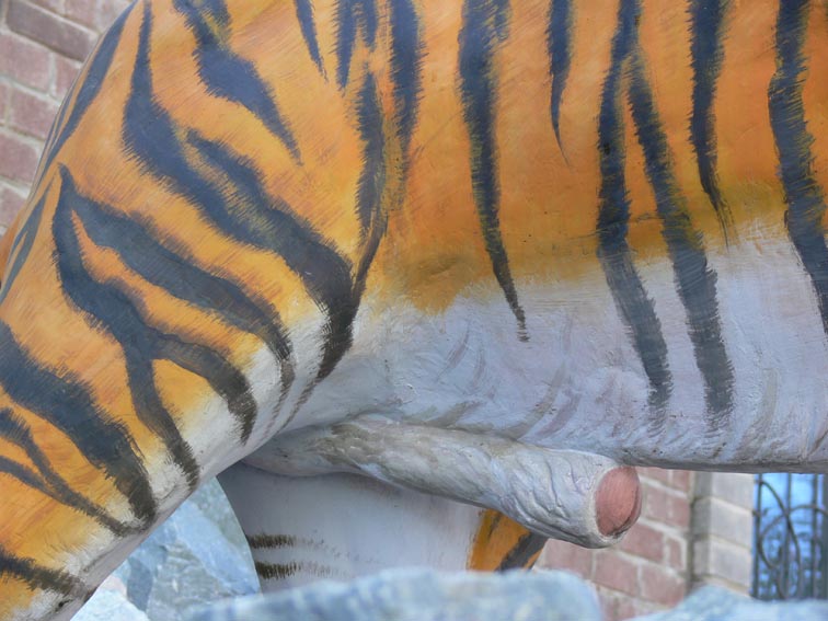 Gbh tiger cock