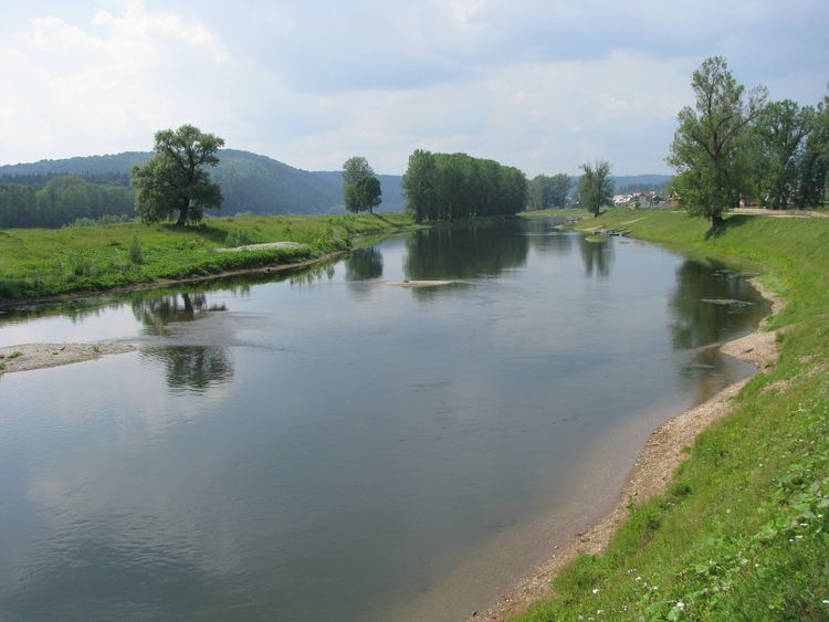 Уровень реки в шакше